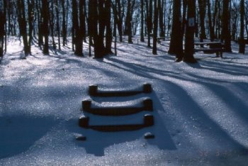 bench, Wawayanda