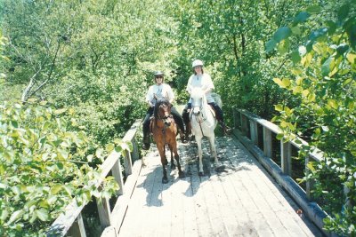bridge