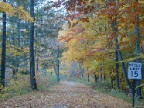 pretty in fall 