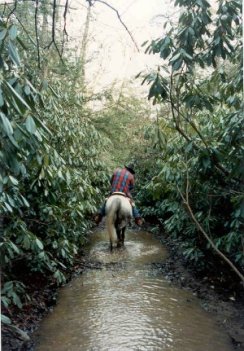 Marty on Double Pond 
