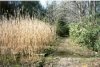Banker Trail