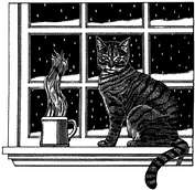 catwindow2