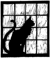 catwindow3