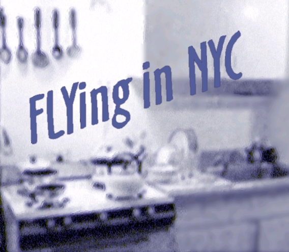 ENTER FLYing in NYC