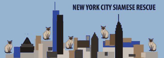 NYC-SRC banner