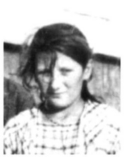 Della Navone
