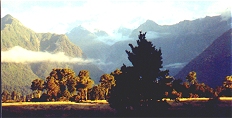 Mount Cook from Fox Glazier