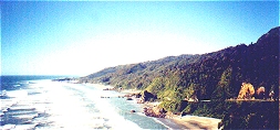 West Coast near Westport