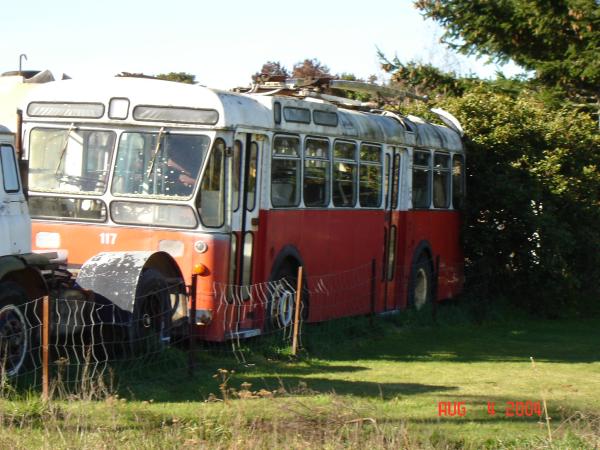 Wellington City Transport 117