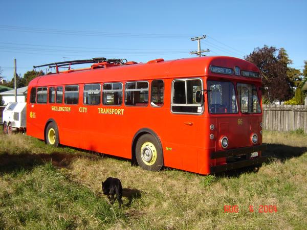 Wellington City Transport 66