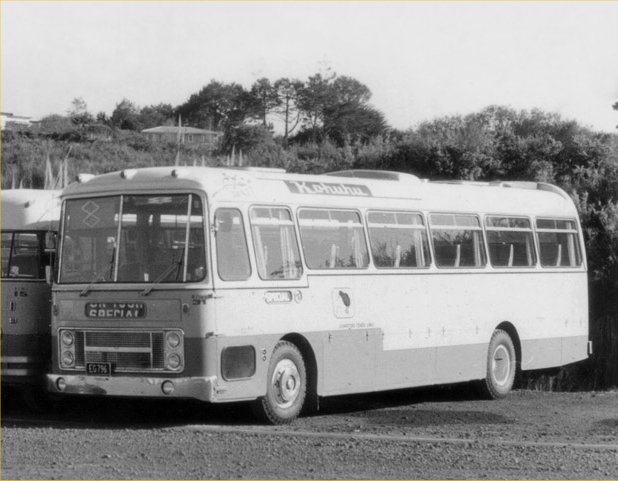 Johstons Kiwi 31