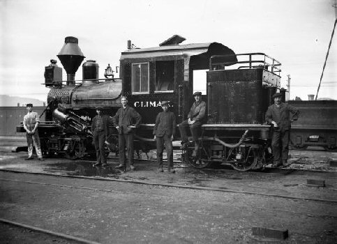 1203 Petone