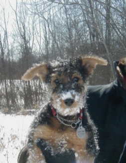 Baby Rugby in the snow