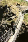 felicity_rope_bridge.jpg (98586 bytes)
