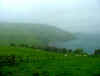 torr head1.jpg (48315 bytes)