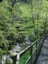 waterfall_path.jpg (162616 bytes)