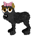 Aloha, petz 3/4/5