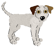 Amillion, petz 3/4/5