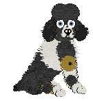 Angelis, petz 5 only