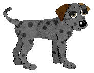 Anmore, petz 3/4/5