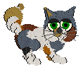 Arnexi, petz 3/4/5