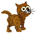 Belva, petz 3/4/5