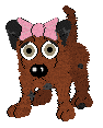 Beverly, female, petz 3-4-5