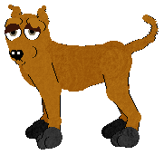 Blake, petz 5