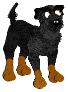 Boom, male, petz 3-4-5