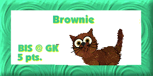 This was a show for petz with Posing Problems...and apparently Brownie has the 