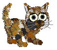 Callnow, male, petz 3-4-5