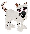 Champ, male hexed great dane