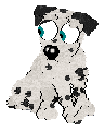 Dotty, most likely female, petz 3-4-5