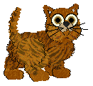 Faruq, petz 5 only