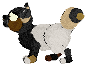Fudgemix, female, petz 3-4-5