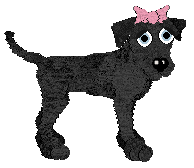 Hasana Peri, petz 5