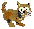 L.O.L, female hexed calico