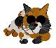 Nelly, male calico