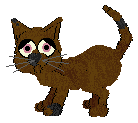 Nuncio, male, petz 3-4-5