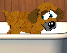 Phil, male, petz 5 only