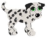 Po, female, petz 3-4-5