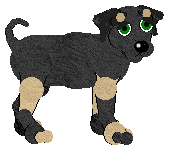 Radar, male, petz 3-4-5