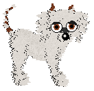 Roanna, petz 5