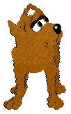 Rusty, male, possibly petz 5 only