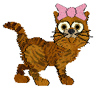Tabitha, petz 5 only