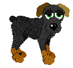 Zen, male, petz 4