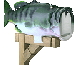 Lets Talk about Fishing
