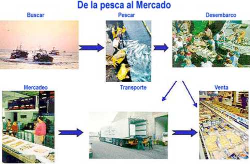 excepto VMS