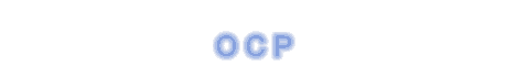 OCP World Inc., - Talent empowers your business !