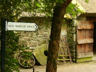 Entering the Old World